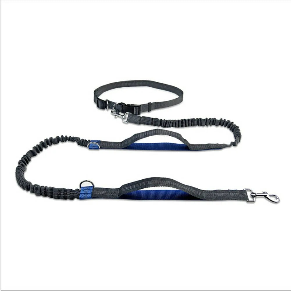 JogFlex - Elastic Dog Leash