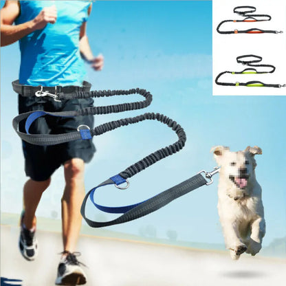 JogFlex - Elastic Dog Leash