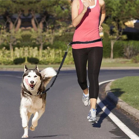 JogFlex - Elastic Dog Leash