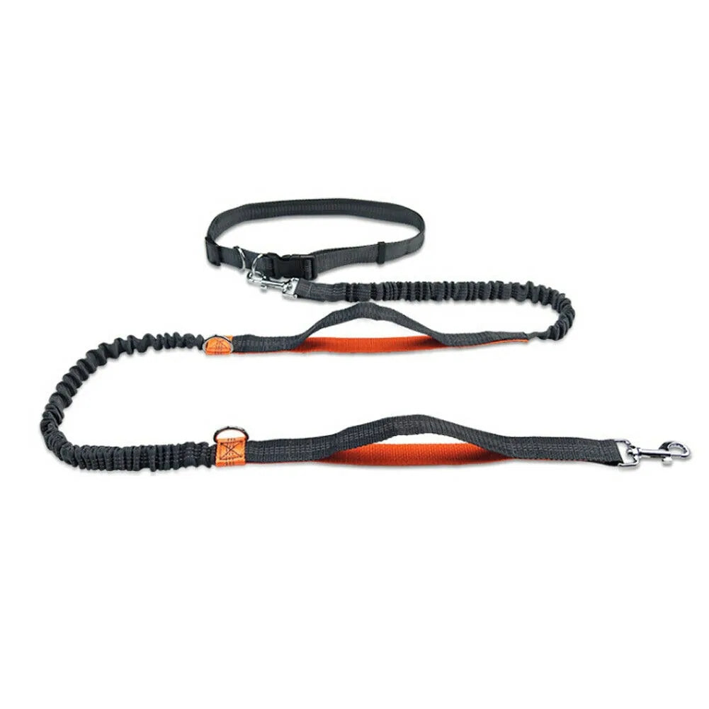 JogFlex - Elastic Dog Leash