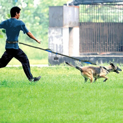 JogFlex - Elastic Dog Leash