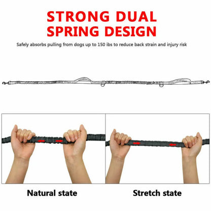 JogFlex - Elastic Dog Leash