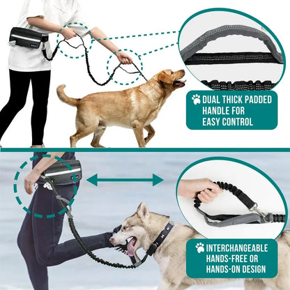 JogFlex - Elastic Dog Leash